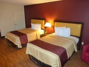 在海灣與海岸之間 探索“灣岸”酒店的愜意住宿體驗(yàn)