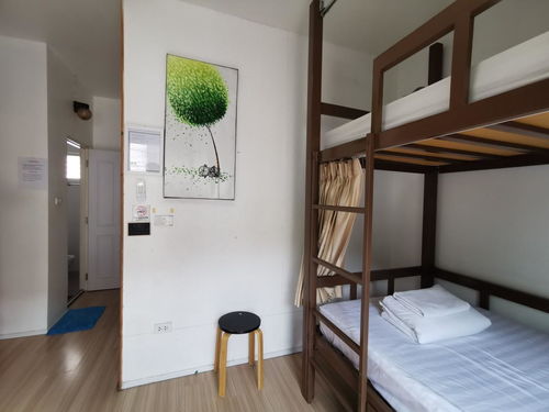 探索清邁新潮流 Bunk Boutique Hostel Chiang Mai雙層精品旅館，Agoda輕松訂房體驗