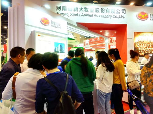 新大智道亮相中原畜牧業(yè)交易博覽會(huì)，信息咨詢服務(wù)引領(lǐng)養(yǎng)豬行業(yè)新變革